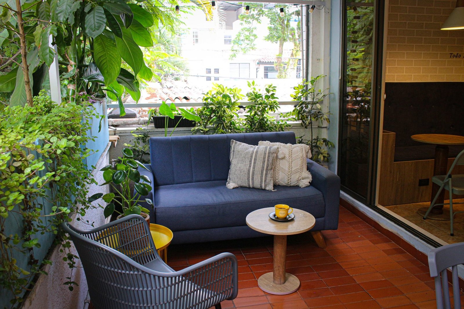 Terraza de Esencia Café en Ibagué, con sofá, plantas y luz natural